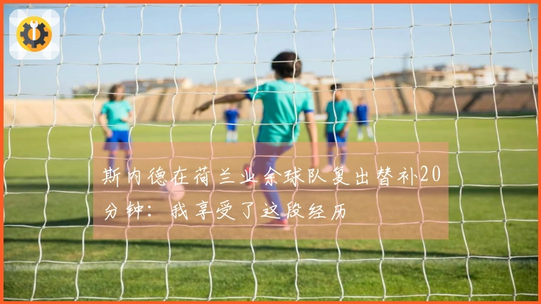 斯内德在荷兰业余球队复出替补20分钟：我享受了这段经历