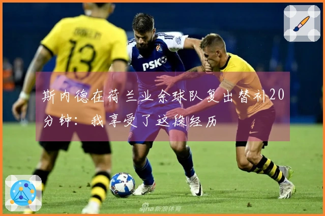 斯内德在荷兰业余球队复出替补20分钟：我享受了这段经历